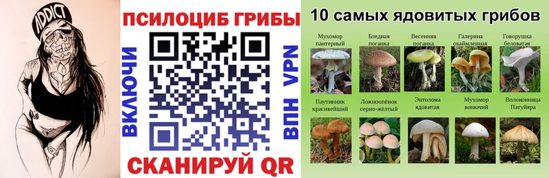 Галлюциногенные грибы ЛСД Сальск
