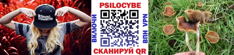Галлюциногенные грибы GOLDEN TEACHER  МЕГА tor  Сальск 