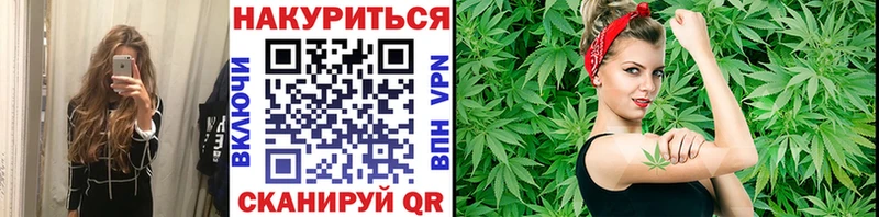 MEGA ссылки  Сальск  площадка телеграм  Марихуана OG Kush 
